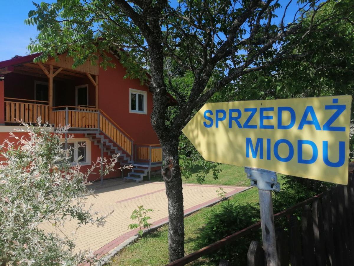 Rzepedka Βίλα Rzepedz Εξωτερικό φωτογραφία